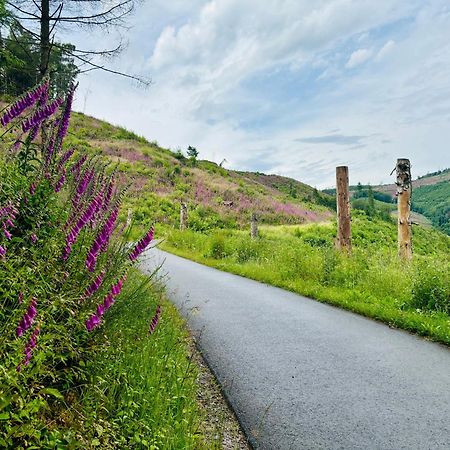 Traumwohnung Mit Sauna, Whirlpool & Wunderschoener Aussicht Plettenberg Eksteriør bilde