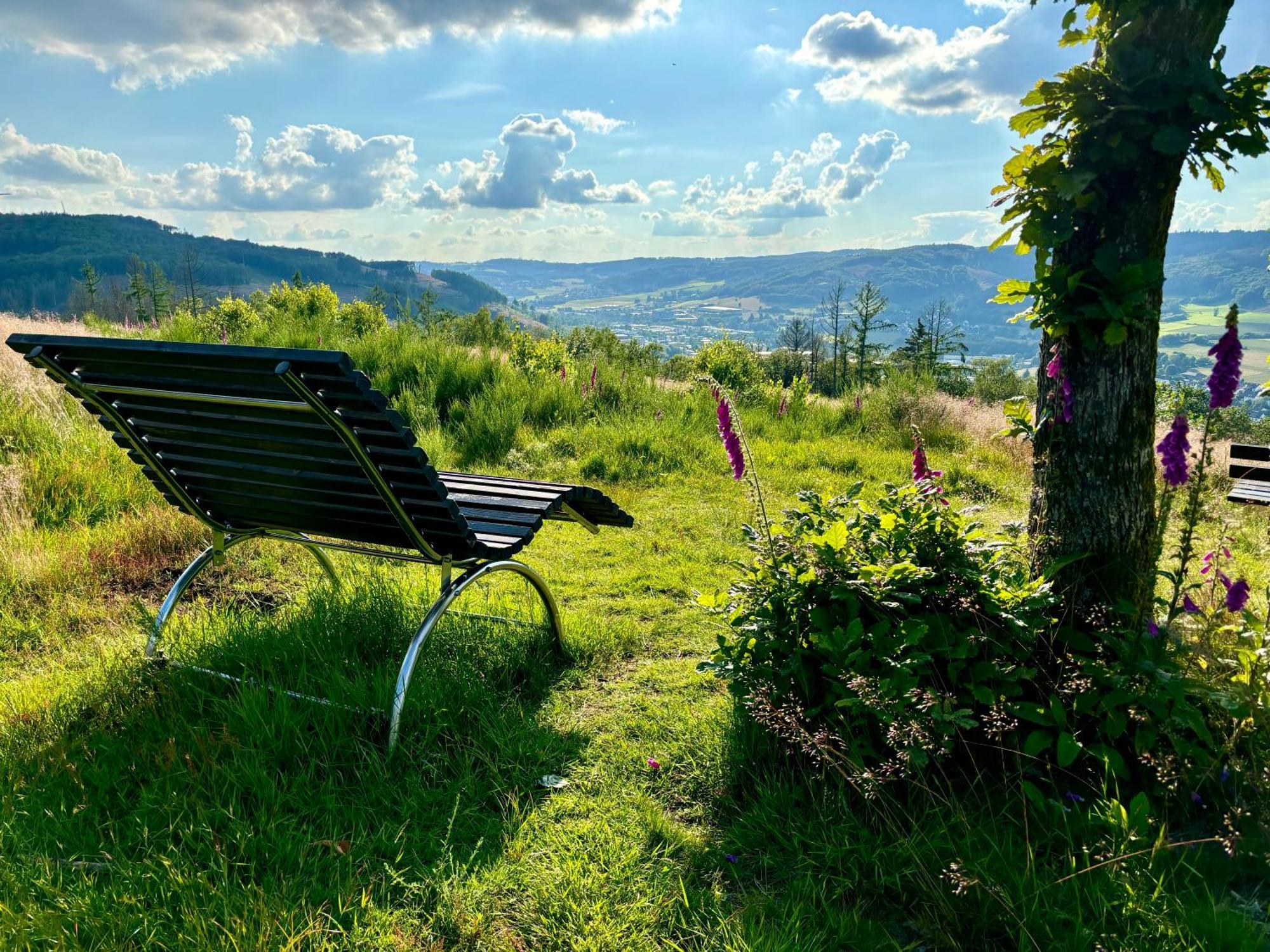Traumwohnung Mit Sauna, Whirlpool & Wunderschoener Aussicht Plettenberg Eksteriør bilde
